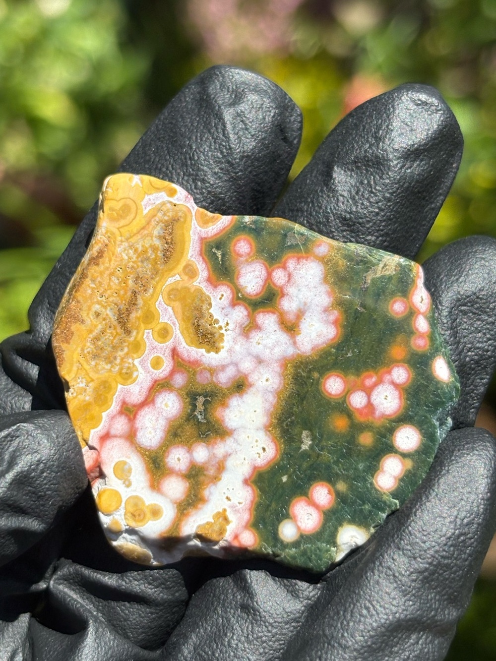 Small Ocean Jasper Crystal Slab - Polished Sea Jasper - Orbicular Jasper